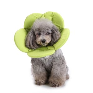 Pet Protection Collar Dog Flower Protection Collar, S, M, L