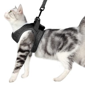 Cat Leash Pet Chest Harness Leash, S, L